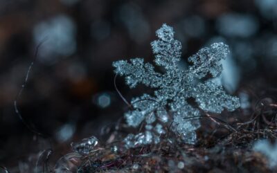 Snowflake