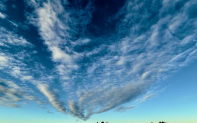 AI, Fundamental Research, and Market Function